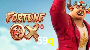 Premium Interface 59q
